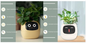 Smart AI Planter