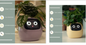 Smart AI Planter